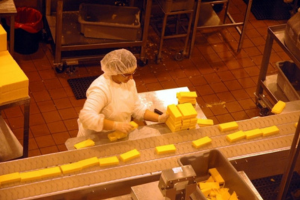 Worker on assemble line